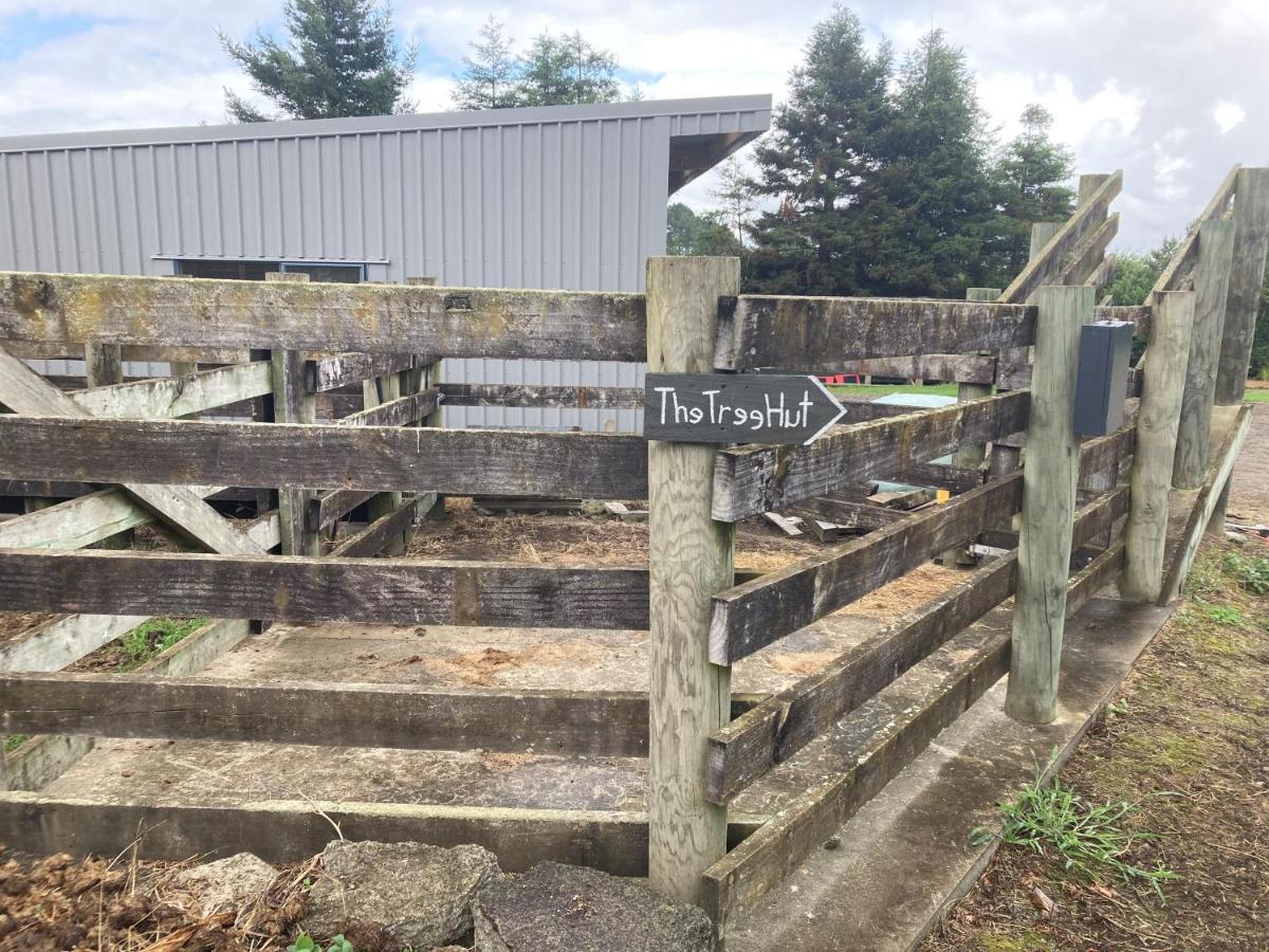 The Treehut Farm stay Ohauiti