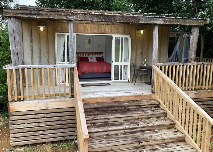 The Treehut