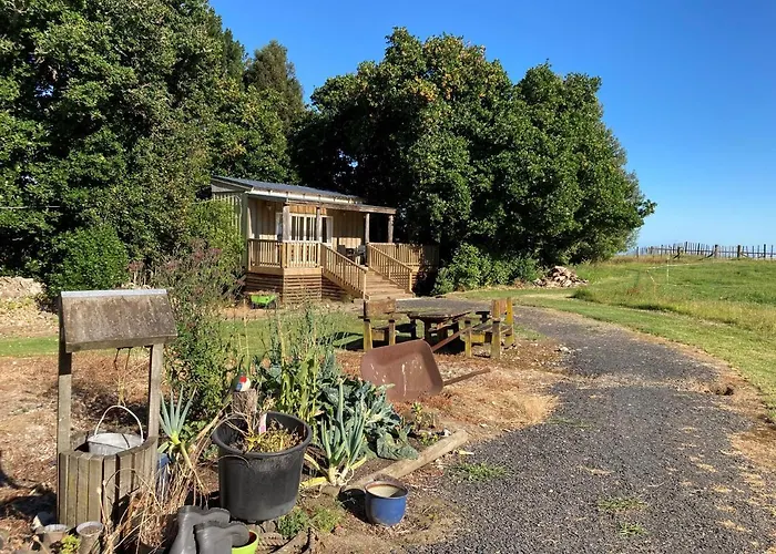 The Treehut