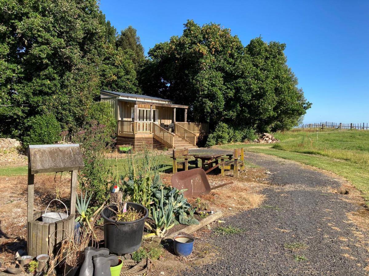 The Treehut Bauernhof Ohauiti